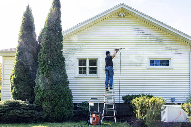 Best Fence Pressure Washing  in Moose Lake, MN