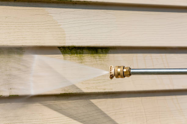 Best Best Pressure Washing Companies  in Moose Lake, MN