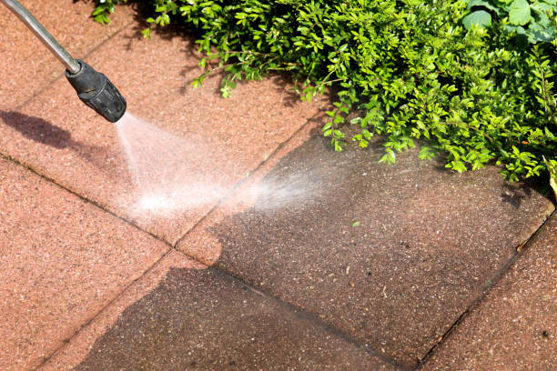 Best Pressure Washing Company Near Me  in Moose Lake, MN